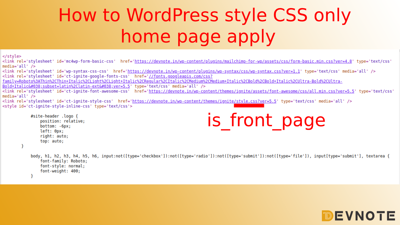 How To WordPress Style CSS Only Home Page Apply Devnote