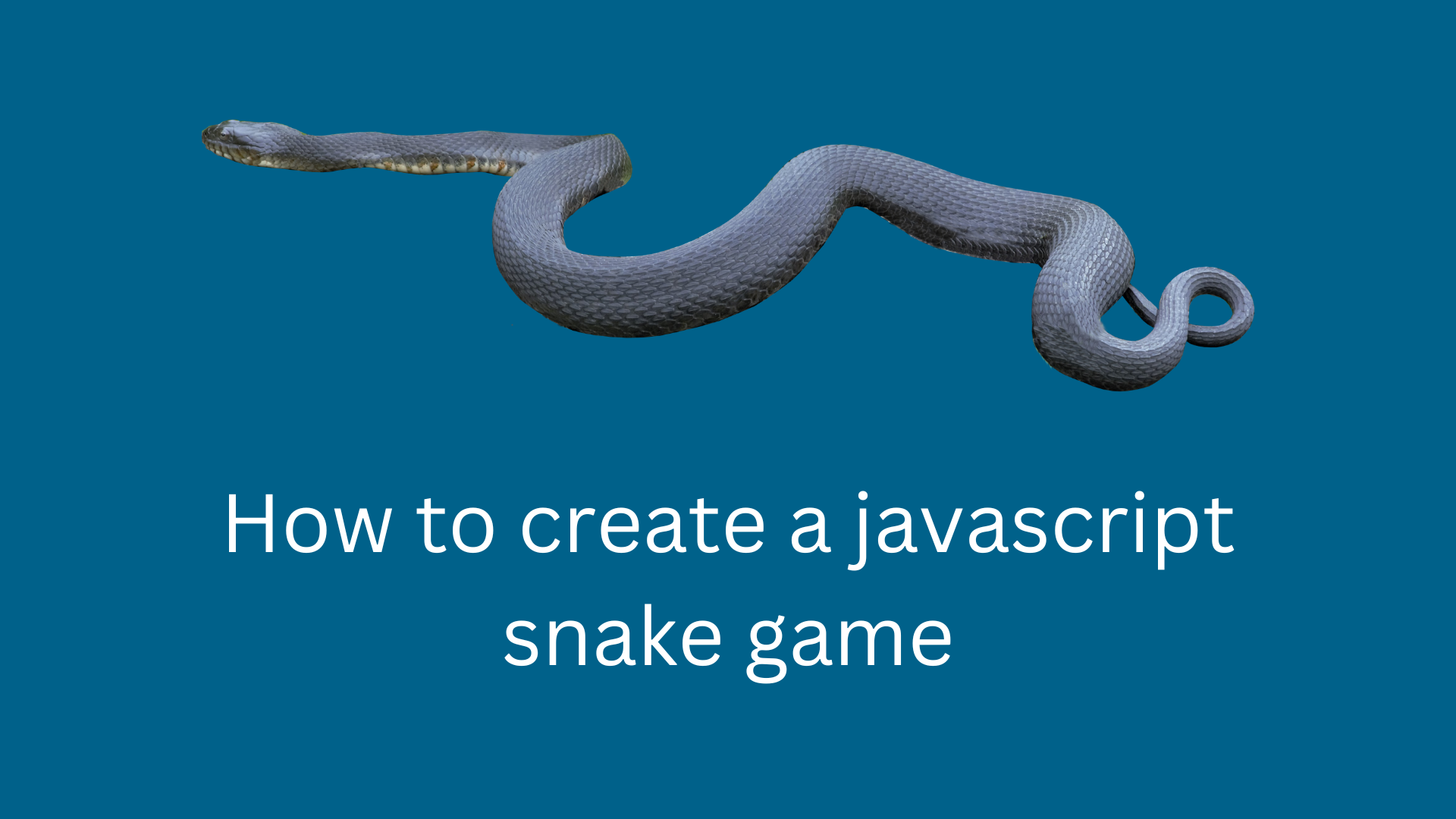 How-to-create-a-javascript-snake-game.png