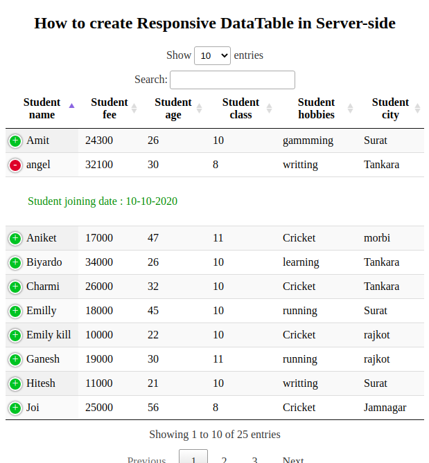 responsive details renderer